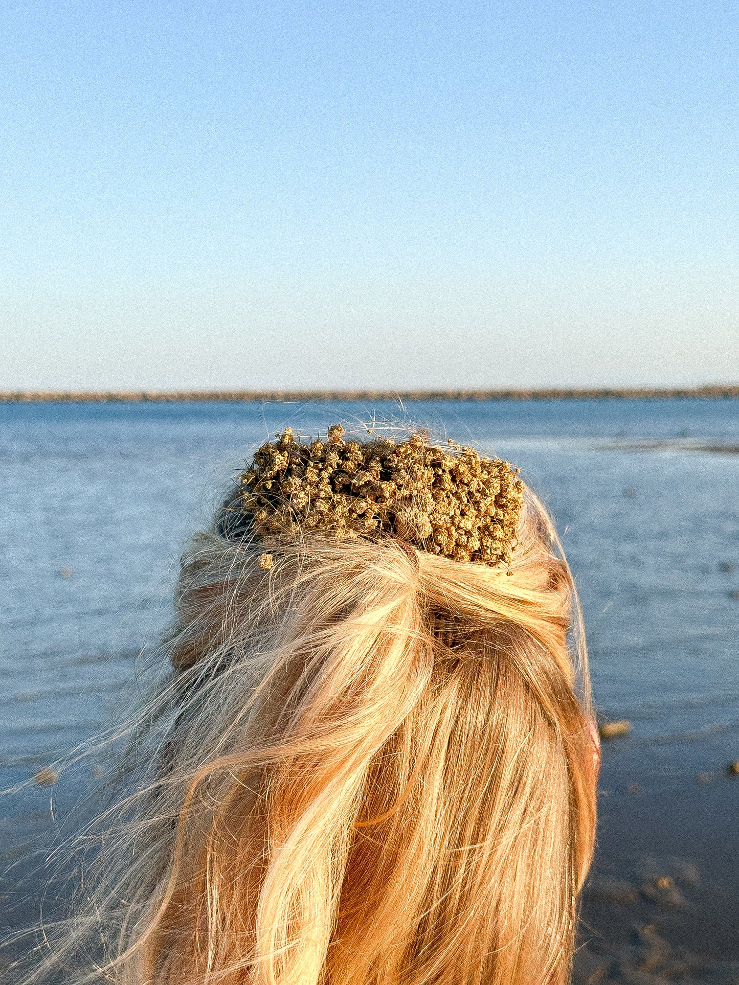 peigne à cheveux vue mer